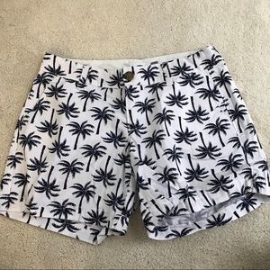 Palm shorts
